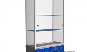 廣東湖南實驗柜廠家