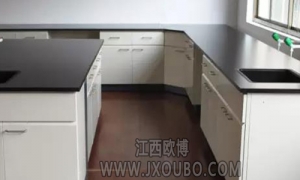 廣東江西實驗臺廠